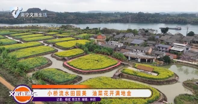 小桥流水田园美 油菜花开满地金