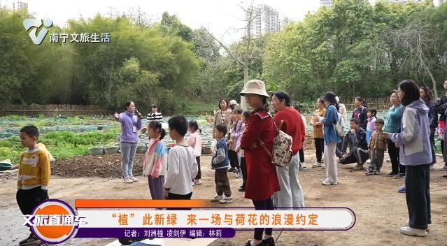 “植” 此新绿 来一场与荷花的浪漫约定