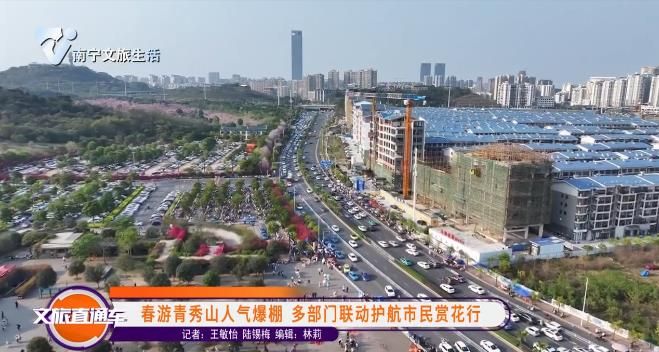 春游青秀山人气爆棚  多部门联动护航市民赏花行