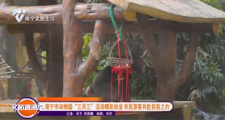 南宁市动物园 “三月三” 活动精彩纷呈 市民游客共赴民俗之约
