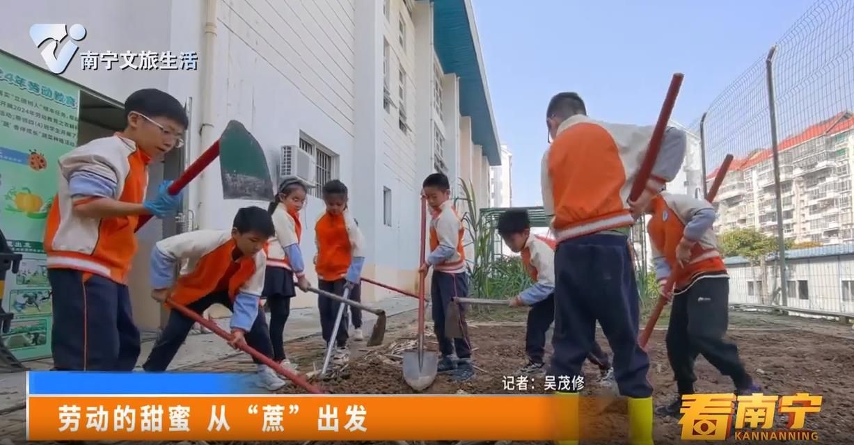 劳动的甜蜜 从 “蔗” 出发