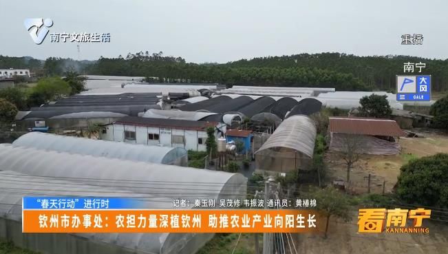 【“春天行动”进行时】钦州市办事处:农担力量深植钦州 助推农业产业向阳生长