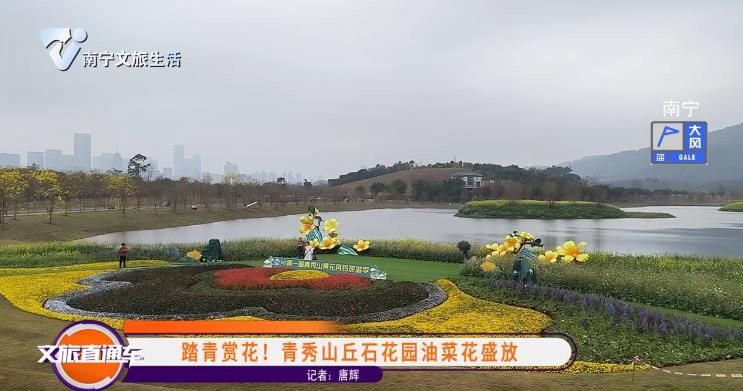 踏青赏花！青秀山丘石花园油菜花盛放