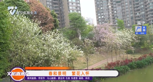 春和景明 繁花入怀