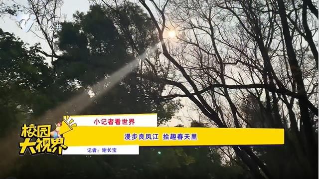 【小记者看世界】漫步良凤江 拾趣春天里