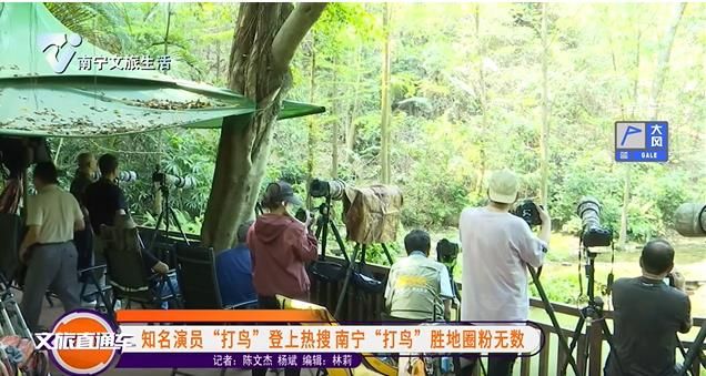 知名演员“打鸟”登上热搜南宁“打鸟”胜地圈粉无数