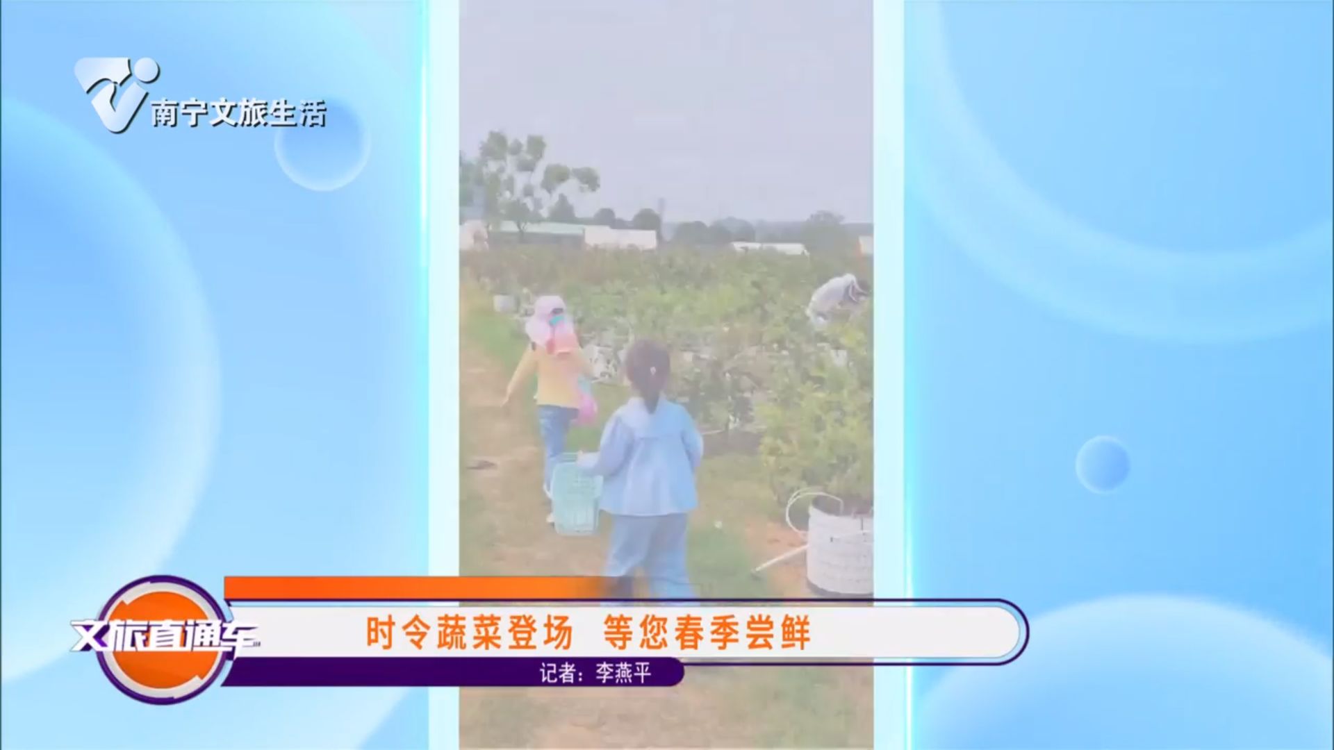 时令蔬菜登场 等您春季尝鲜