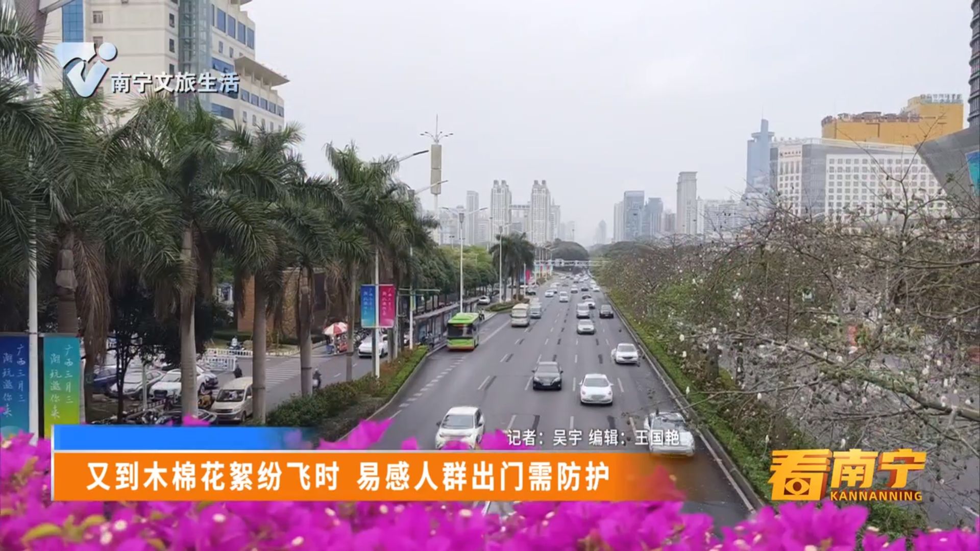 又到木棉花絮纷飞时 易感人群出门需防护