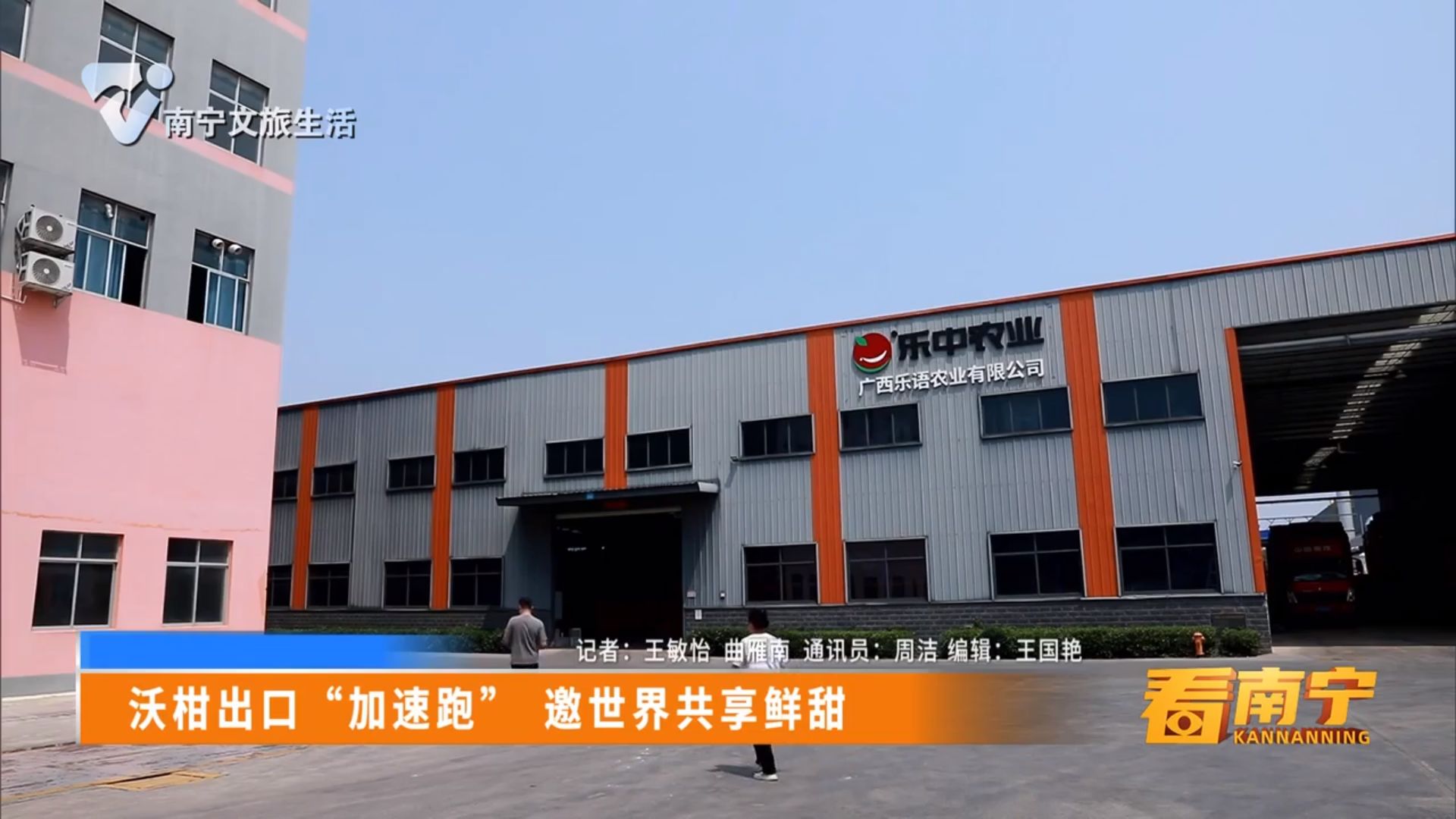 沃柑出口“加速跑” 邀世界共享鲜甜