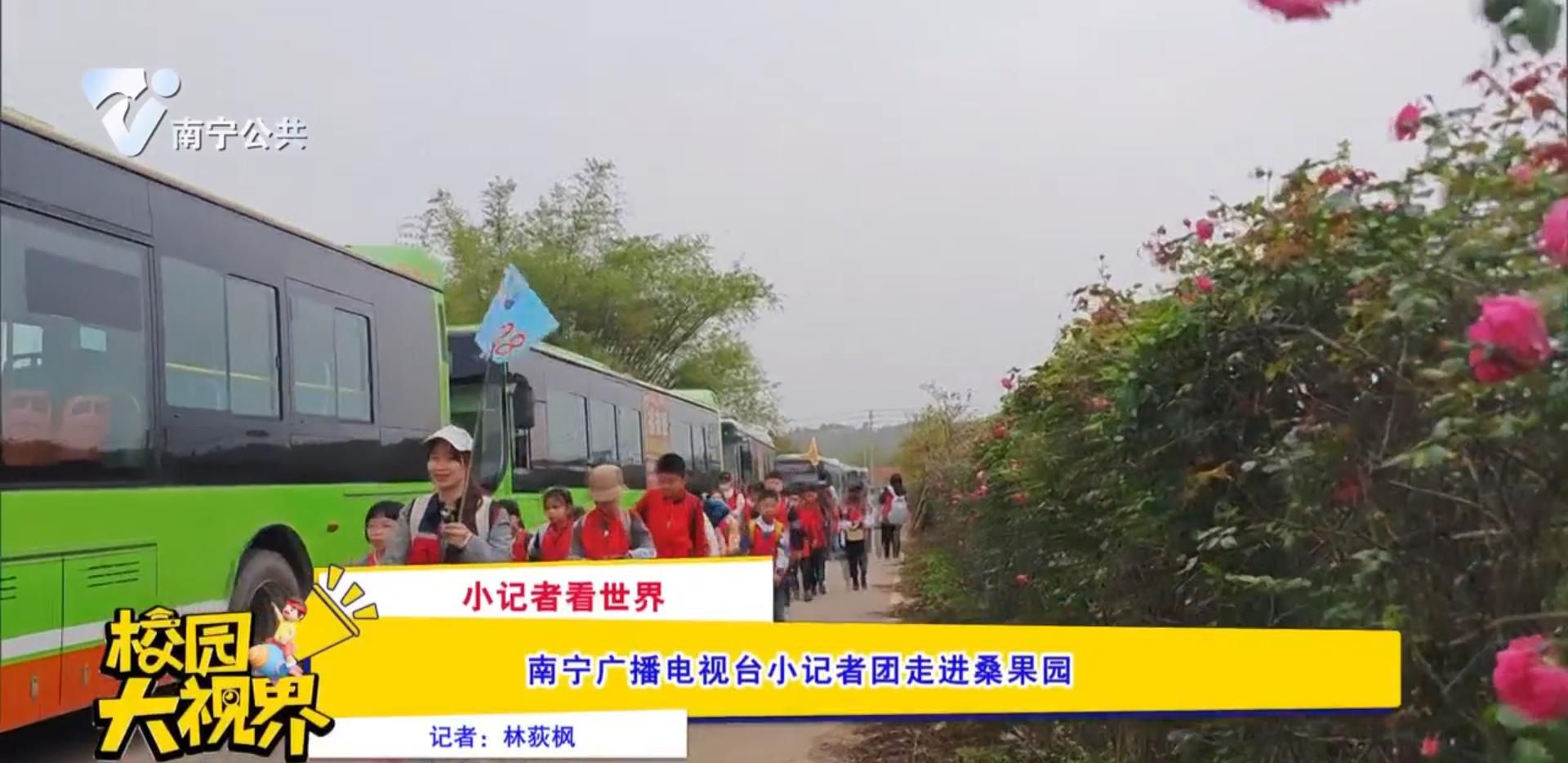 【小记者看世界】南宁广播电视台小记者团走进桑果园