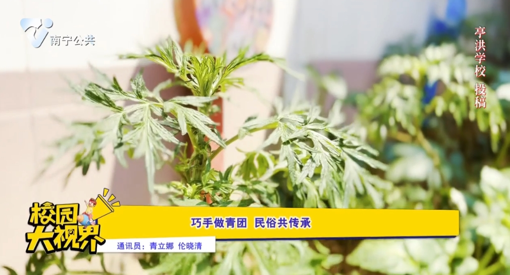 巧手做青团 民俗共传承