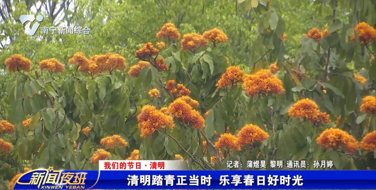 【我们的节日·清明】清明踏青正当时 乐享春日好时光