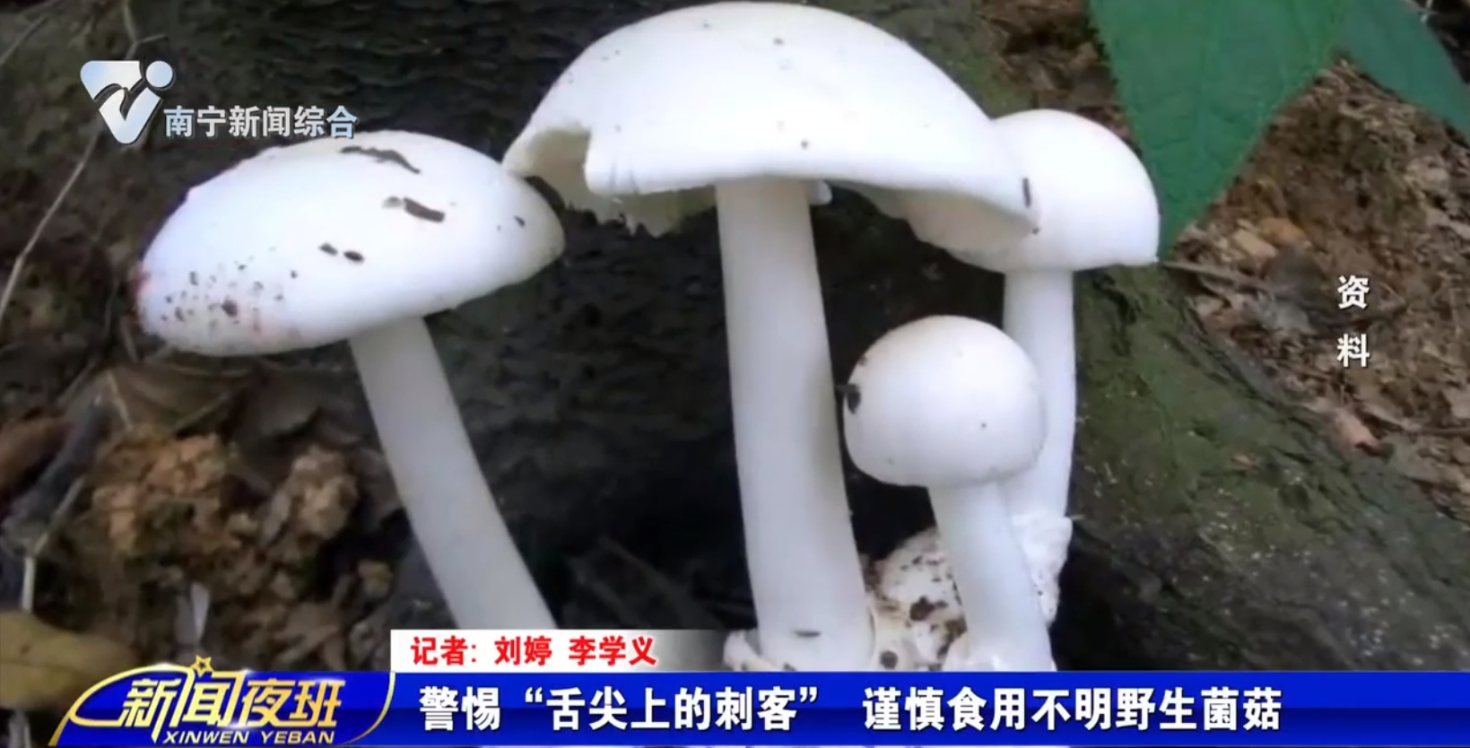 警惕“舌尖上的刺客” 谨慎食用不明野生菌菇