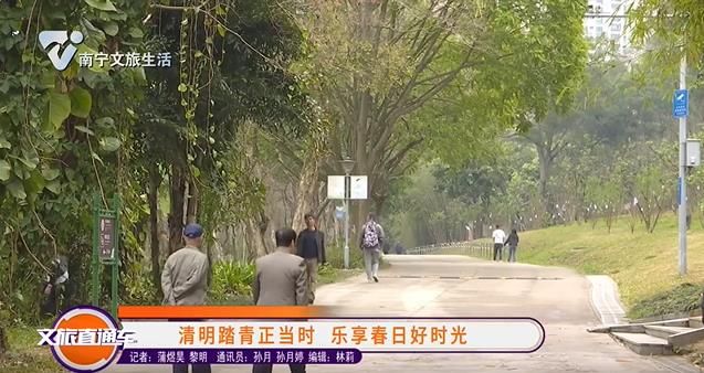 清明踏青正当时 乐享春日好时光