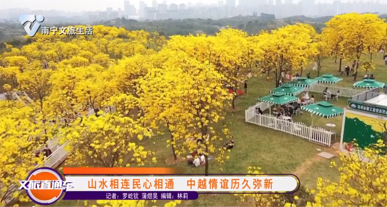 山水相连民心相通 中越情谊历久弥新