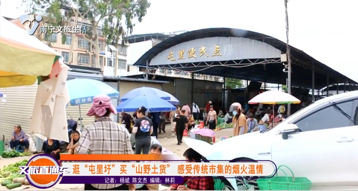 逛“屯里圩”买“山野土货” 感受传统市集的烟火温情