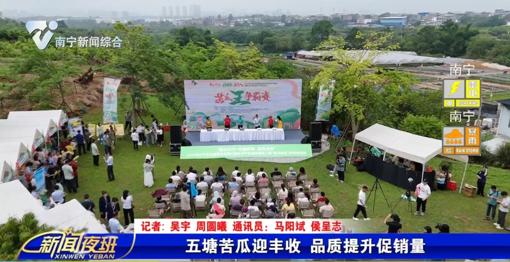 五塘苦瓜迎丰收 品质提升促销量