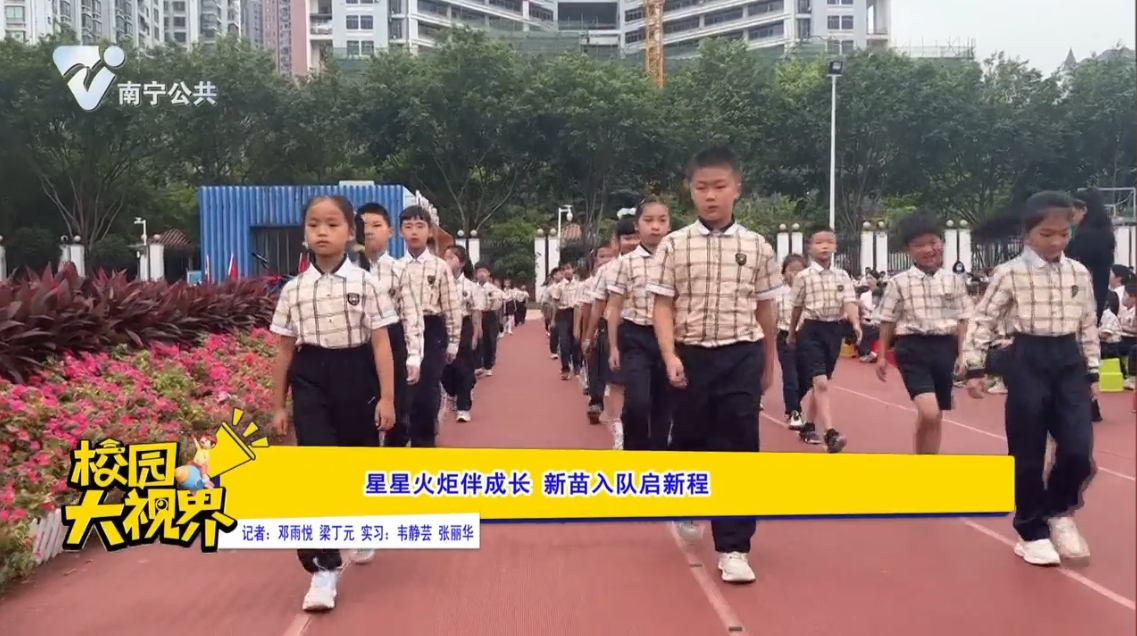 星星火炬伴成长 新苗入队启新程