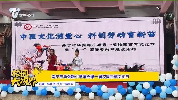南宁市华强路小学举办第一届校园百草文化节