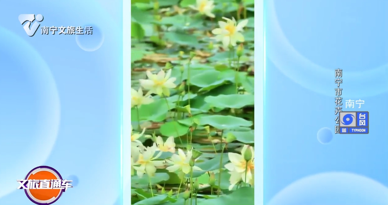 南宁市花卉公园