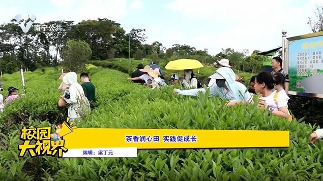 	茶香润心田 实践促成长