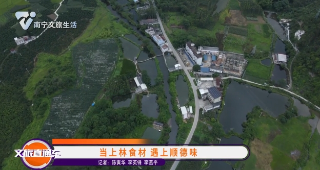 当上林食材 遇上顺德味