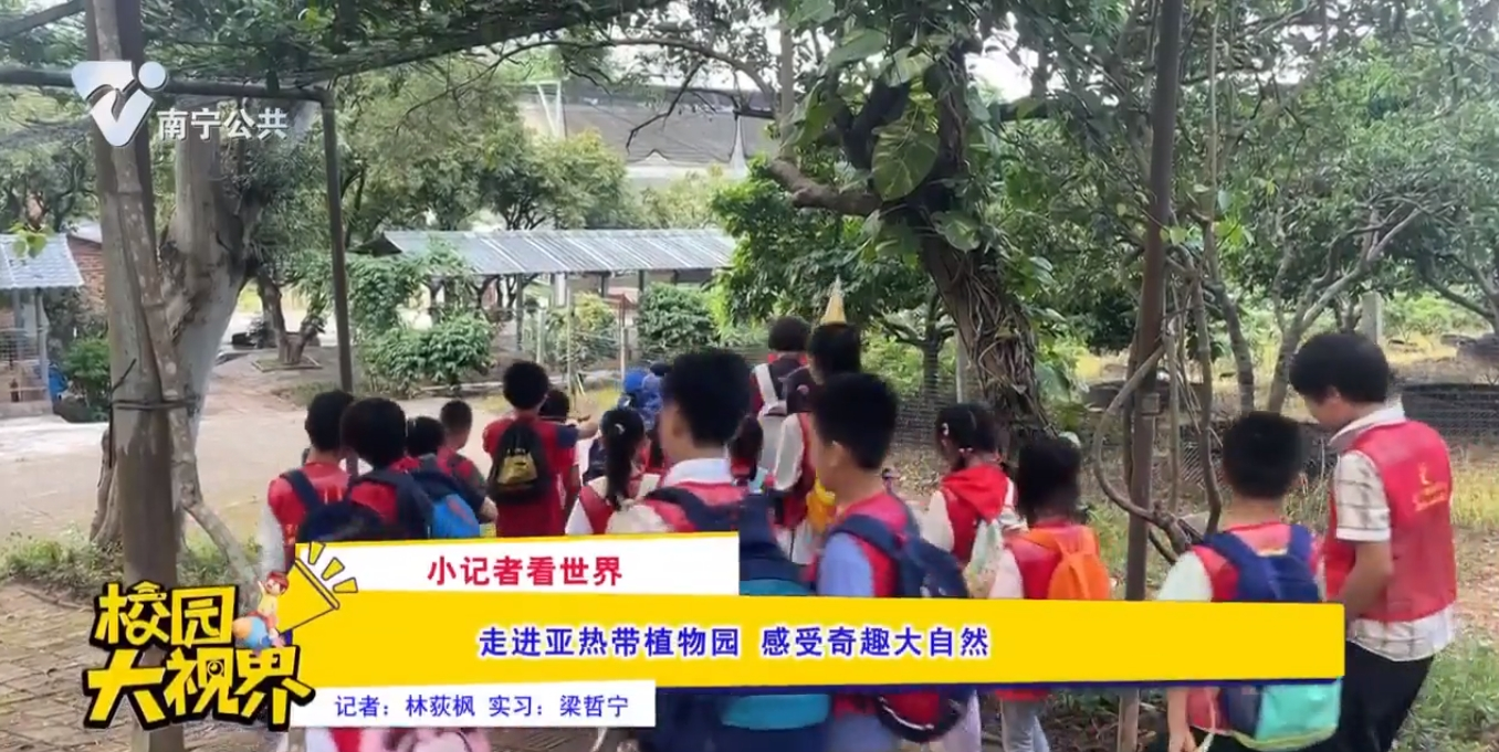 【小记者看世界】走进亚热带植物园 感受奇趣大自然