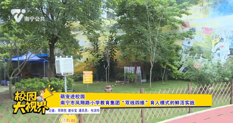 萌宠进校园 南宁市凤翔路小学教育集团“双线四维”育人模式的鲜活实践