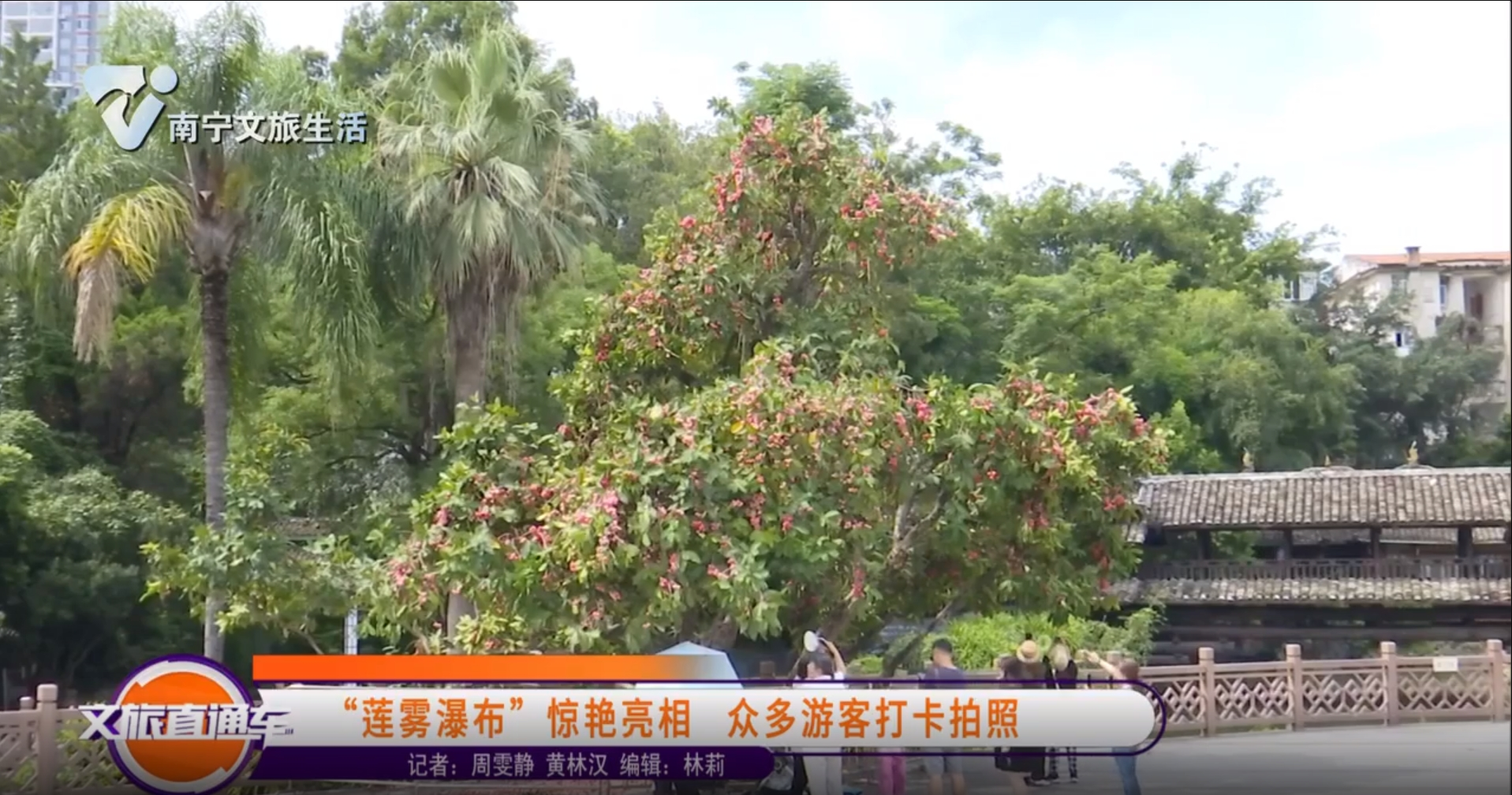 “莲雾瀑布”惊艳亮相 众多游客打卡拍照