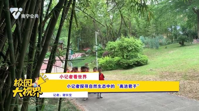 【小记者看世界】小记者探寻自然生态中的“高洁君子”