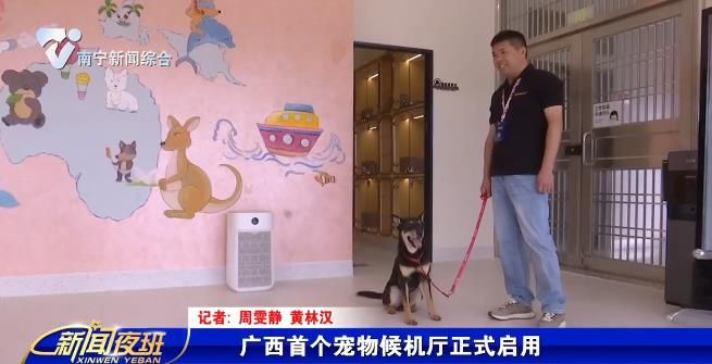 廣西首個寵物候機廳正式啟用