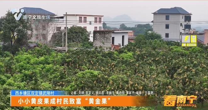 	小小黄皮果成村民致富“黄金果”