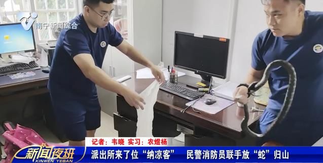 派出所來了位“納涼客”  民警消防員聯手放“蛇”歸山