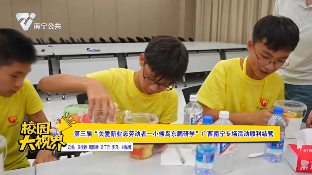 第三届“关爱新业态劳动者—小候鸟东鹏研学”广西南宁专场活动顺利结营