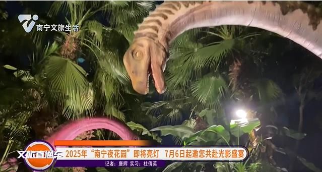 2025年“南宁夜花园”即将亮灯 7月6日起邀您共赴光影盛宴
