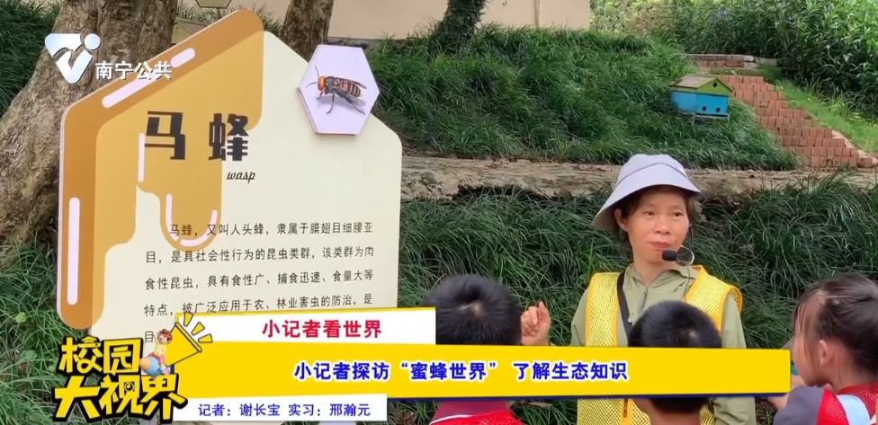 【小记者看世界】小记者探访“蜜蜂世界”了解生态知识
