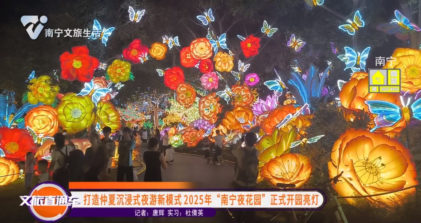 打造仲夏沉浸式夜游新模式2025年“南宁夜花园”正式开园亮灯