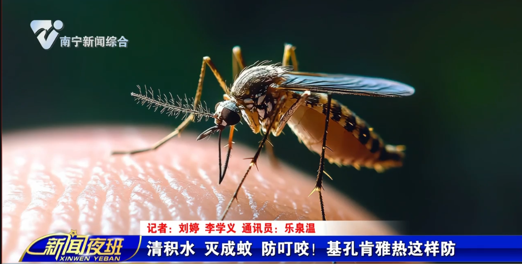 清积水 灭成蚊 防叮咬！基孔肯雅热这样防