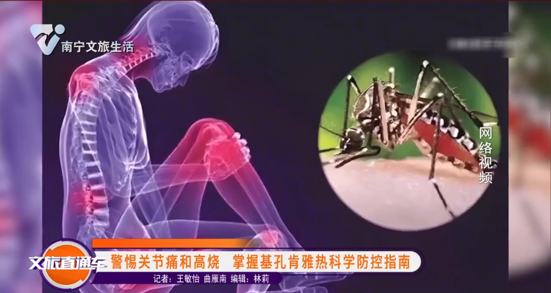 警惕关节痛和高烧 掌握基孔肯雅热科学防控指南