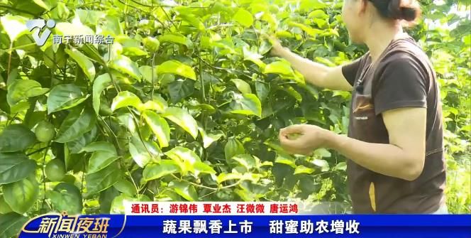 蔬果飘香上市 甜蜜助农增收