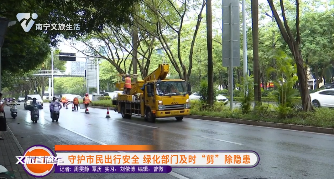 守护市民出行安全 绿化部门及时“剪”除隐患