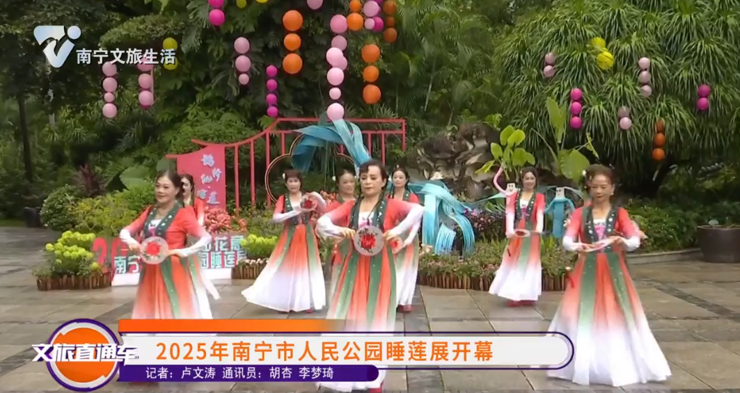 2025年南宁市人民公园睡莲展开幕
