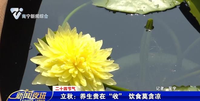 【二十四节气】立秋：养生贵在“收” 饮食莫贪凉