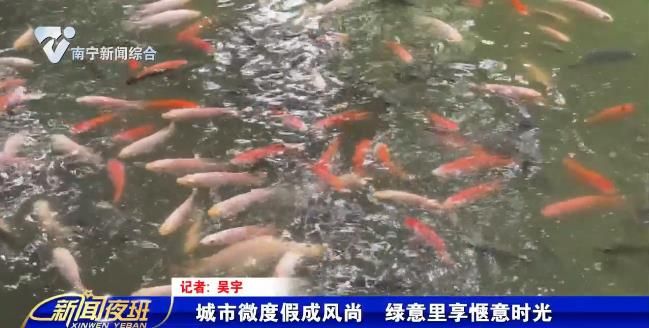 城市微度假成风尚  绿意里享惬意时光