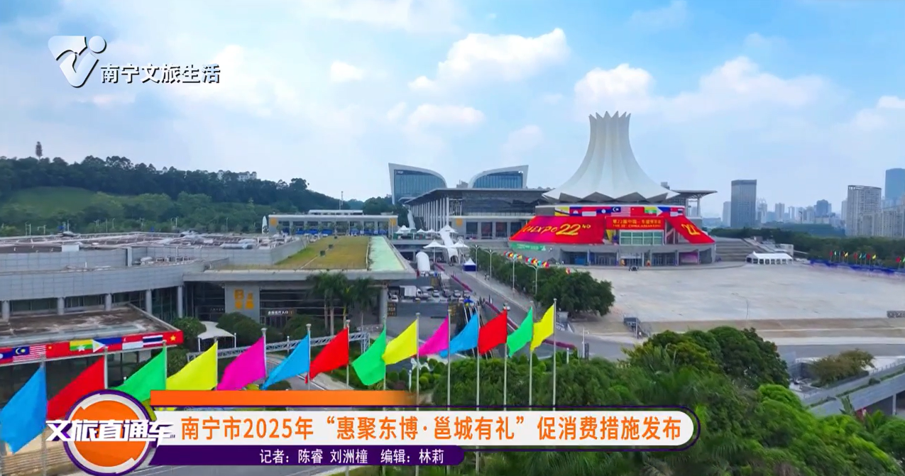南宁市2025年“惠聚东博·邕城有礼”促消费措施