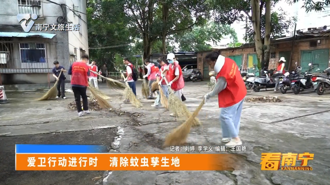 爱卫行动进行时 清除蚊虫孳生地