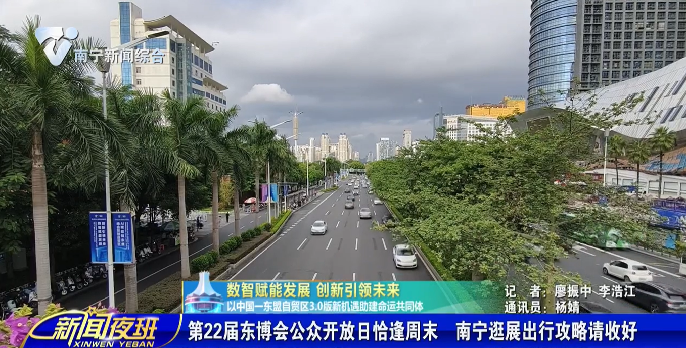 【数智赋能发展 创新引领未来 以中国—东盟自贸区3.0版新机遇助建命运共同体】第22届东博会公众开放日恰逢周末 南宁逛展出行攻略请收好