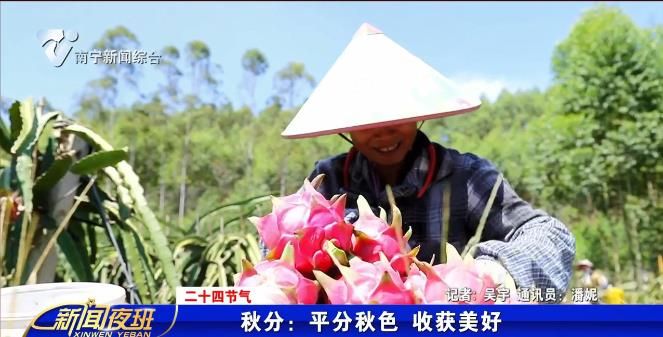 【二十四节气】秋分：平分秋色 收获美好