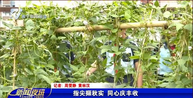 指尖撷秋实 同心庆丰收