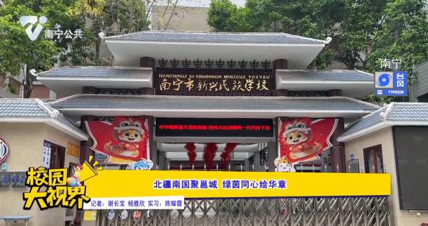 北疆南国聚邕城 绿茵同心绘华章